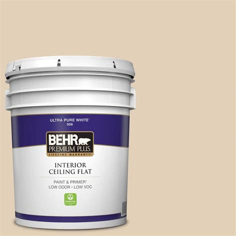 Behr Premium Plus Gal Pwn Toasted Cashew Ceiling Flat Interior