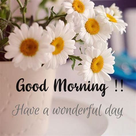 50+ Good Morning Flowers Images With Messages