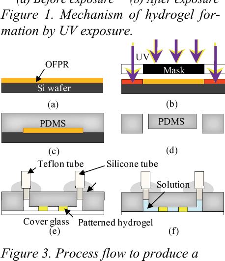 Figure 1 From Micropatterning Of Hydrogel And On Chip Long Time Monitoring Of Individual Cells