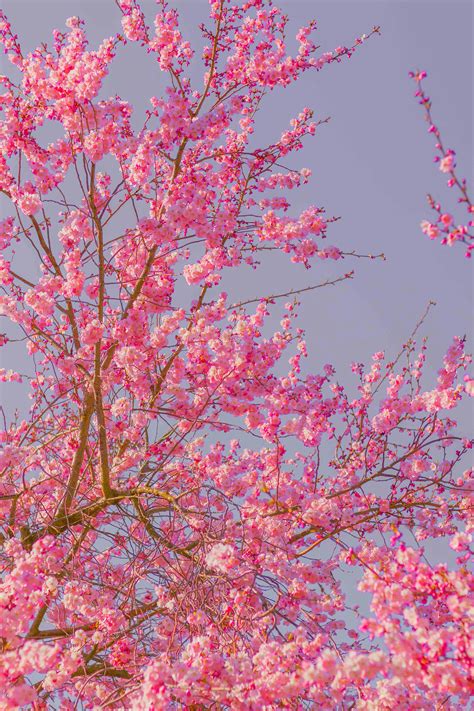 10krobuxpicture Photos Download The Best Free 10krobuxpicture