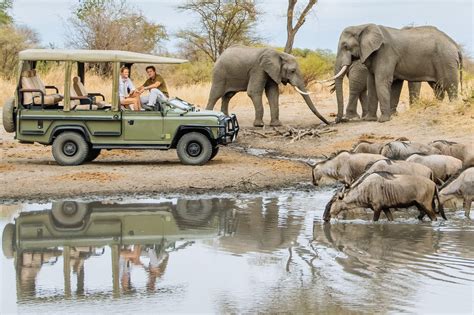 Is Lake Manyara Worth Visiting Lake Manyara National Park Tanzania