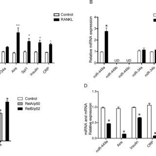Thymic In Situ Expression Of MiR 449 34 Sponge Reduced Mature MTECs