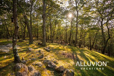 Relax In This Treetop Retreat With An Oversized Hot Tub In Tuxedo Park Alluvion Vacations