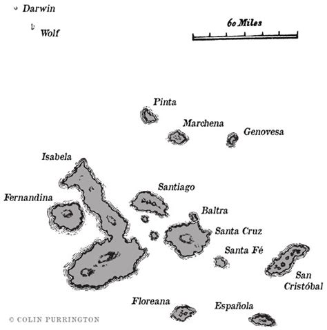 Map of the Galapagos Islands » Colin Purrington's blog