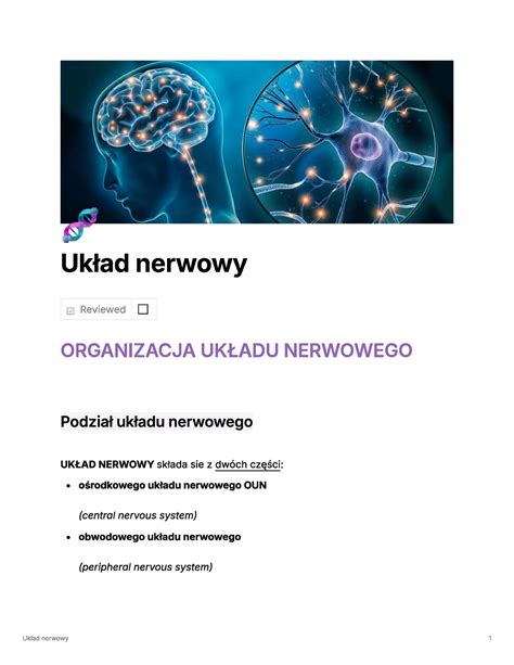 Układ nerwowy Biologiczne podstawy zachowania Studocu