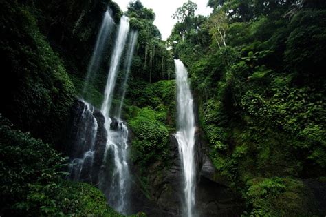 Premium Photo Background Of Jungle Waterfall Cascade In Tropical