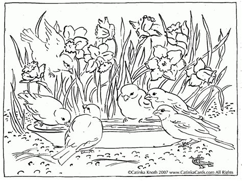 Country Scenes Coloring Pages At Getcolorings Free Printable