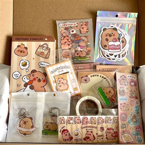 Capybara Stationery Box Cute Stationery 13 Items Scrapbooking Stickers