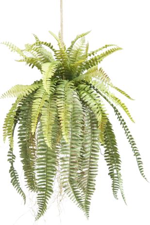 Pianta Artificiale Sospesa Fern Su Palla 76 Cm Easyplants