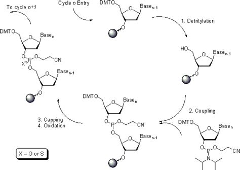 Bioinformatics Boundless Microbiology