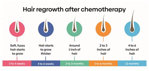 Hair regrowth after chemotherapy