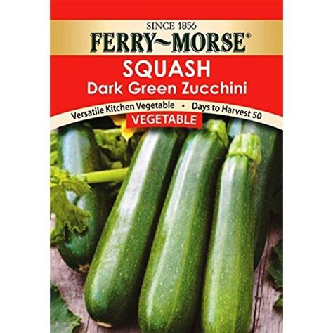 Dark Green Zucchini Squash Seed Packet Green Zucchini Zucchini