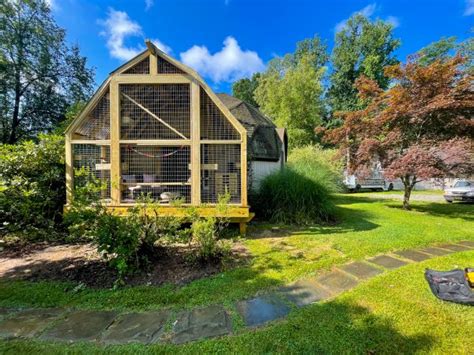 From Indoor To Outdoor A Cat S Guide To The Catio