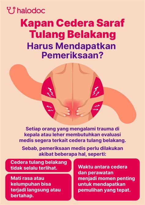 Saraf Tulang Belakang Perbedaan Hot Sex Picture