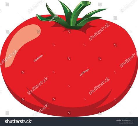 Tomato Isolated Single Simple Cartoon Illustration Stock Vector