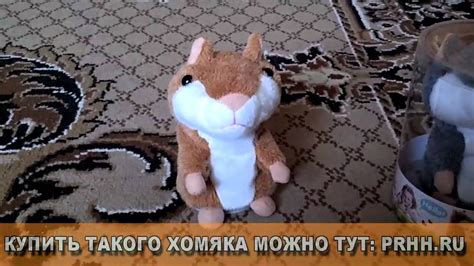 Говорящий хомяк - YouTube