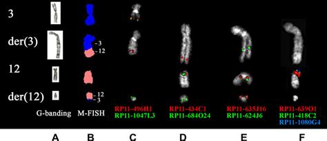 Results Of Conventional And Molecular Cytogenetic Analyses A Gtg