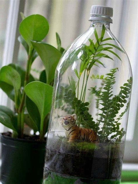 Diy Build A Bottle Ecosystem Science Project Step By Step Building Instructions Love Science