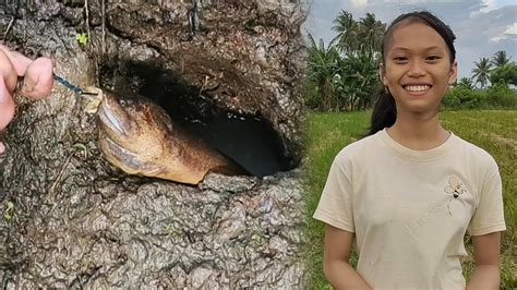 BERBURU BELUT MANCING BELUT DI SPOT SUNGAI DAN JUGA SAWAH HASILNYA