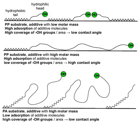 Sketch Illustrating The Adsorption Behavior Of Low And High Molar