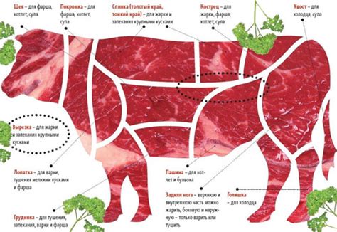 Уникальная информация на тему: мясо говядины бжу на 100 грамм
