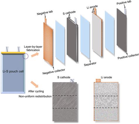 Schematic Illustration Of The Lis Pouch Cell Fabrication By A