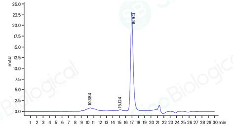 Recombinant Human S100A12 Protein 11143 HNAE Sino Biological