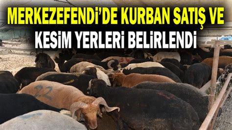 Merkezefendide Kurban Satış Ve Kesim Yerleri Belirlendi Denizli