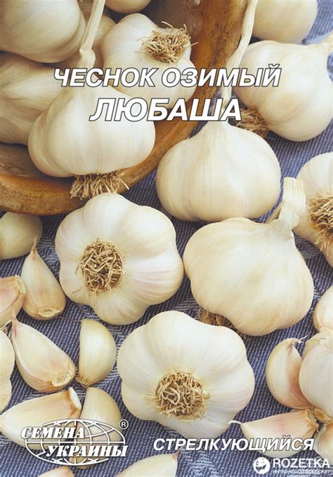 Семена чеснока Гигант Чеснок озимый Любаша 10 г (Семена Украины ...