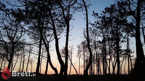 Galerie Photos Le Site De Des Fermes Marines Br Tignolles Sur Mer