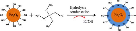 Schematic Diagram Illustrating The Synthesis Of Fe3o4sio2 By Stober