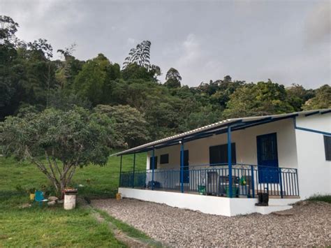 Finca En Venta En Vereda Guayabal Fusagasugá Cundinamarca 750 000