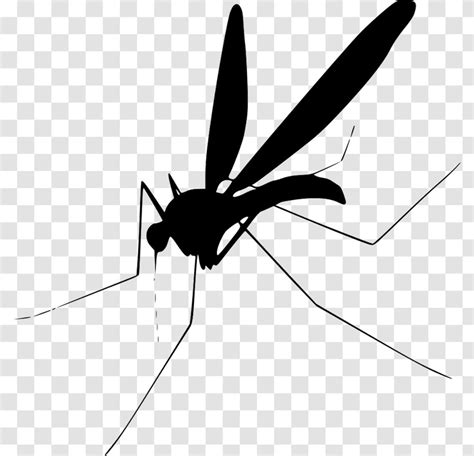 Mosquito Clip Art - Black And White Transparent PNG