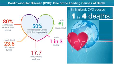 Cardiovascular Disease Cvd Helal Medical