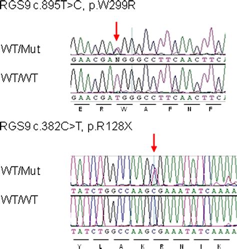 Novel Mutations and Electrophysiologic Findings in RGS9- and R9AP ...