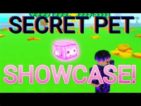 Showcase Of The New Doodle Parrot Secret In Pet Simulator X Youtube