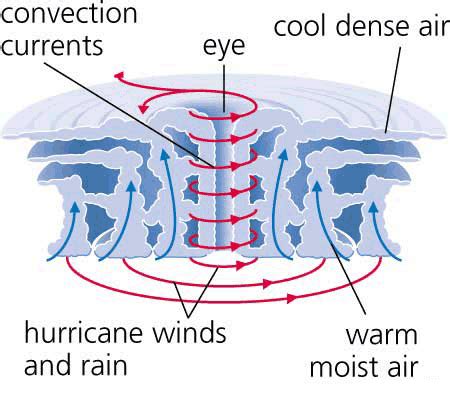 Parts Of A Hurricane Diagram