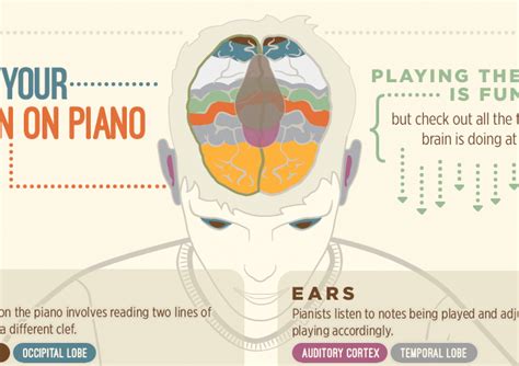 Infographic Tutorial Illustrator Beginners Piano