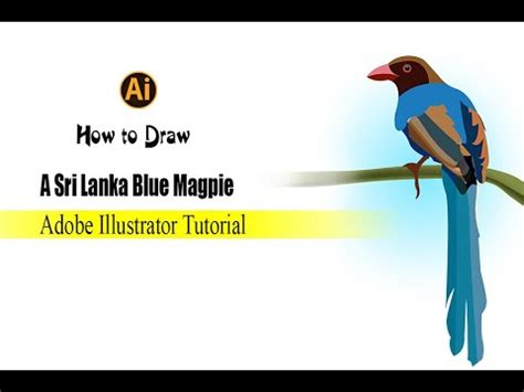 How To Draw A Ceylon Magpie Adobe Illustrator Vector Tutorial Youtube