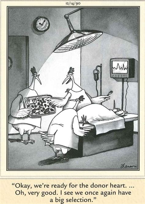 Gary Larson Cartoons Silly And Funny Phrases