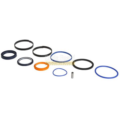 991 20009 JCB BHL Lift Ram Seal Kit Chris Beard APS