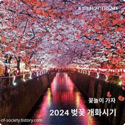 2024년 벚꽃과 진달래 개화시기 예측지도 전국 벚꽃 명소 안내