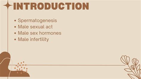 SOLUTION Male Reproductive System Physiology Studypool