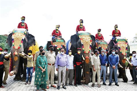 Dasara Elephants Webinar Series: Veterinarian gives insight of Dasara Jumbos - Star of Mysore