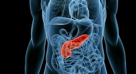 Tumore pancreas scoperto farmaco che riduce mortalità Efficacia