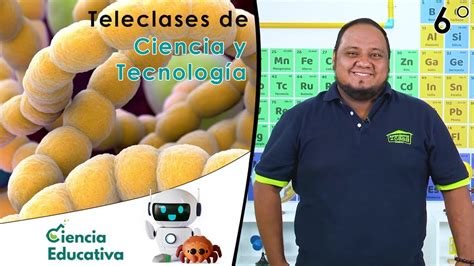 Transici N Al Mundo Vivo Teleclases C Y T Grado Youtube