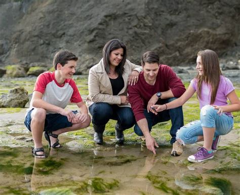 Beachcombing Treasure hunters can find agates, shells, sea creatures ...