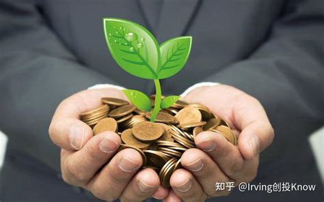 初创投资者带来的附加价值 知乎