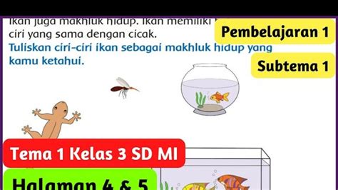 Kunci Jawaban Tema Kelas Sd Halaman Bagaimana Ciri Ciri Ikan