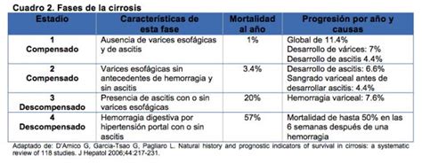 Fases De La Enfermedad